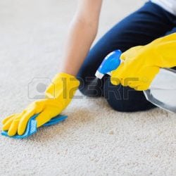 38663114-insanlar,-ev-işleri-ve-temizlik-kavramı---yakın-evde-bez-ve-deterjan-püskürtme-temizleme-halı-lastik